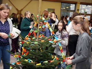 Dózsás karácsonyfák - fotó: Sándor Judit