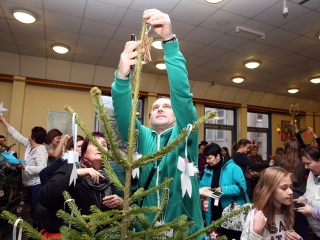 Dózsás karácsonyfák - fotó: Sándor Judit