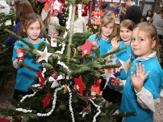 Dózsás karácsonyfák - fotó: Sándor Judit