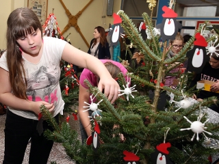 Dózsás karácsonyfák - fotó: Sándor Judit