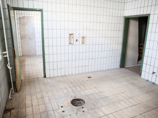 A Kormányhivatal átvette a zöld SZTK-t - fotó: Ónodi Zoltán