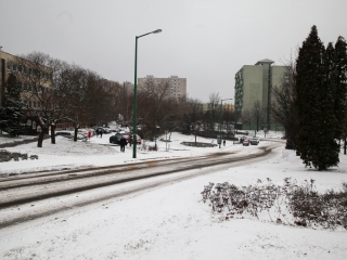 Havas Dunaújváros (2018) - fotó: Ónodi Zoltán