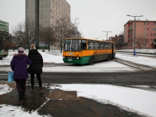 Havas Dunaújváros (2018) - fotó: Ónodi Zoltán