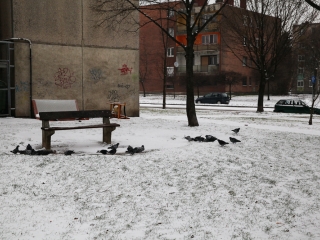 Havas Dunaújváros (2018) - fotó: Ónodi Zoltán