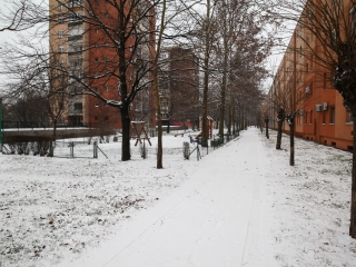 Havas Dunaújváros (2018) - fotó: Ónodi Zoltán