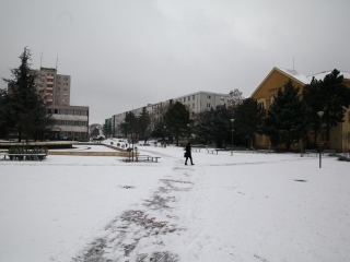 Havas Dunaújváros (2018) - fotó: Ónodi Zoltán