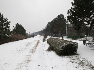 Havas Dunaújváros (2018) - fotó: Ónodi Zoltán