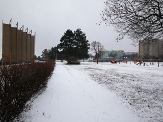 Havas Dunaújváros (2018) - fotó: Ónodi Zoltán