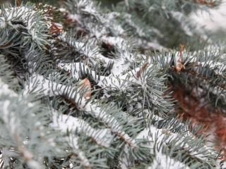 Havas Dunaújváros (2018) - fotó: Ónodi Zoltán