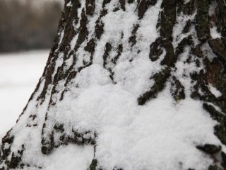 Havas Dunaújváros (2018) - fotó: Ónodi Zoltán