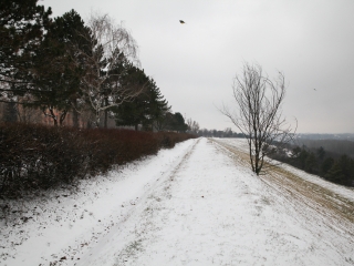 Havas Dunaújváros (2018) - fotó: Ónodi Zoltán