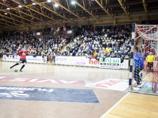 XVI. Carissa Kupa (2018) - fotó: Ónodi Zoltán