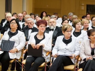 A Pro Cultura Intercisae-díj átadása (2018) - fotó: Sándor Judit