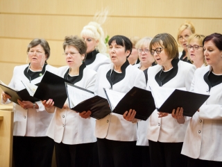 A Pro Cultura Intercisae-díj átadása (2018) - fotó: Sándor Judit