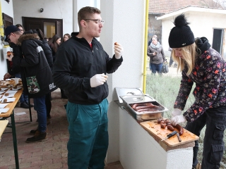 Disznótor a drogambulancián - fotó: Sándor Judit