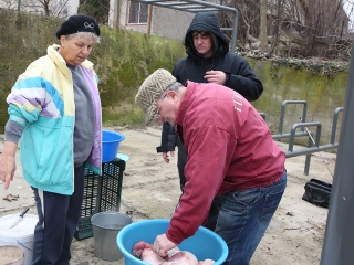 Disznótor a drogambulancián - fotó: Sándor Judit