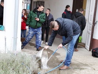 Disznótor a drogambulancián - fotó: Sándor Judit