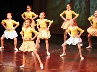 Gárdonyis táncgála - fotó: Sándor Judit