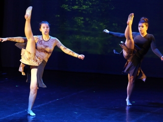 Gárdonyis táncgála - fotó: Sándor Judit