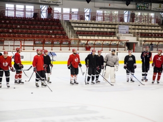 Szurkolói flashmob a DAB edzésén - fotó: Ónodi Zoltán