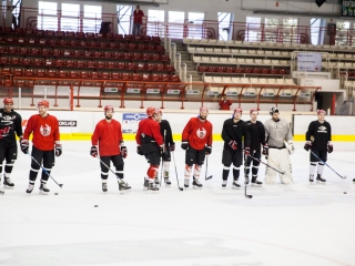 Szurkolói flashmob a DAB edzésén - fotó: Ónodi Zoltán