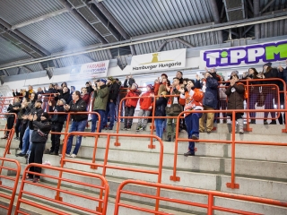 Szurkolói flashmob a DAB edzésén - fotó: Ónodi Zoltán