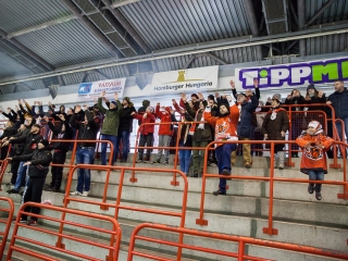 Szurkolói flashmob a DAB edzésén - fotó: Ónodi Zoltán