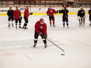 Szurkolói flashmob a DAB edzésén - fotó: Ónodi Zoltán