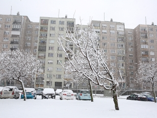 Hólepte Dunaújváros - fotó: Sándor Judit