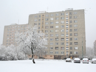 Hólepte Dunaújváros - fotó: Sándor Judit