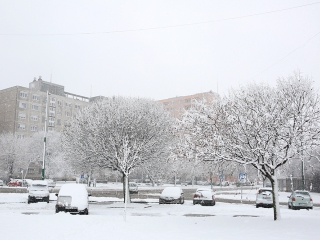 Hólepte Dunaújváros - fotó: Sándor Judit