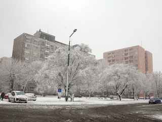 Hólepte Dunaújváros - fotó: Sándor Judit