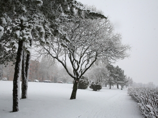 Hólepte Dunaújváros - fotó: Sándor Judit
