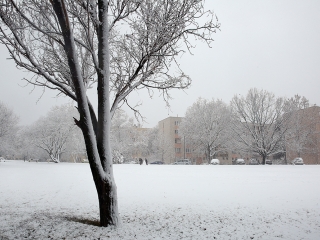 Hólepte Dunaújváros - fotó: Sándor Judit