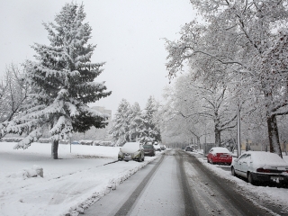 Hólepte Dunaújváros - fotó: Sándor Judit