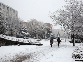 Hólepte Dunaújváros - fotó: Sándor Judit