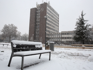 Hólepte Dunaújváros - fotó: Sándor Judit