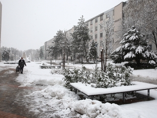 Hólepte Dunaújváros - fotó: Sándor Judit