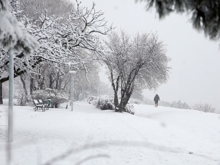 Hólepte Dunaújváros - fotó: Sándor Judit