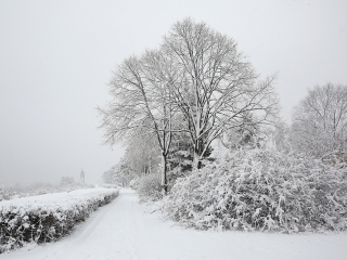 Hólepte Dunaújváros - fotó: Sándor Judit