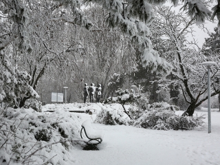 Hólepte Dunaújváros - fotó: Sándor Judit
