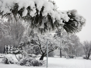 Hólepte Dunaújváros - fotó: Sándor Judit