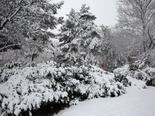 Hólepte Dunaújváros - fotó: Sándor Judit