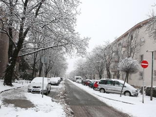 Hólepte Dunaújváros - fotó: Sándor Judit