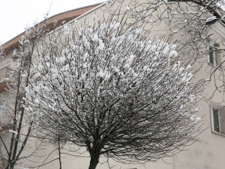 Hólepte Dunaújváros - fotó: Sándor Judit