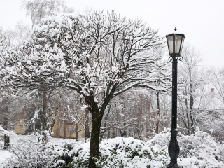 Hólepte Dunaújváros - fotó: Sándor Judit