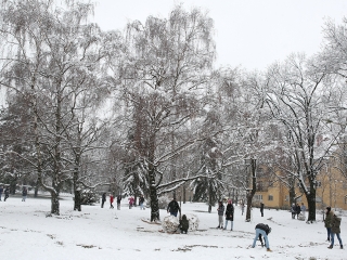 Hólepte Dunaújváros - fotó: Sándor Judit
