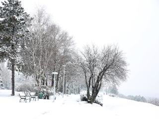 Hólepte Dunaújváros - fotó: Sándor Judit