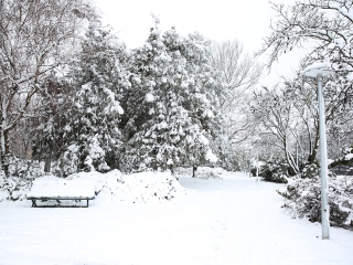 Hólepte Dunaújváros - fotó: Sándor Judit