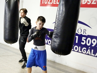 DÖSE ökölvívó felkészülés - fotó: Sándor Judit